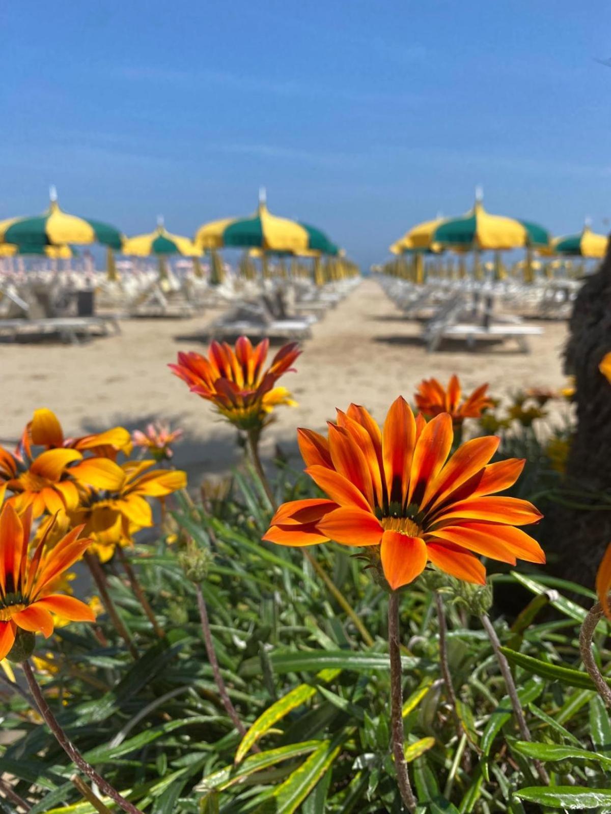 Rimini Bay Suites&Residence Екстер'єр фото